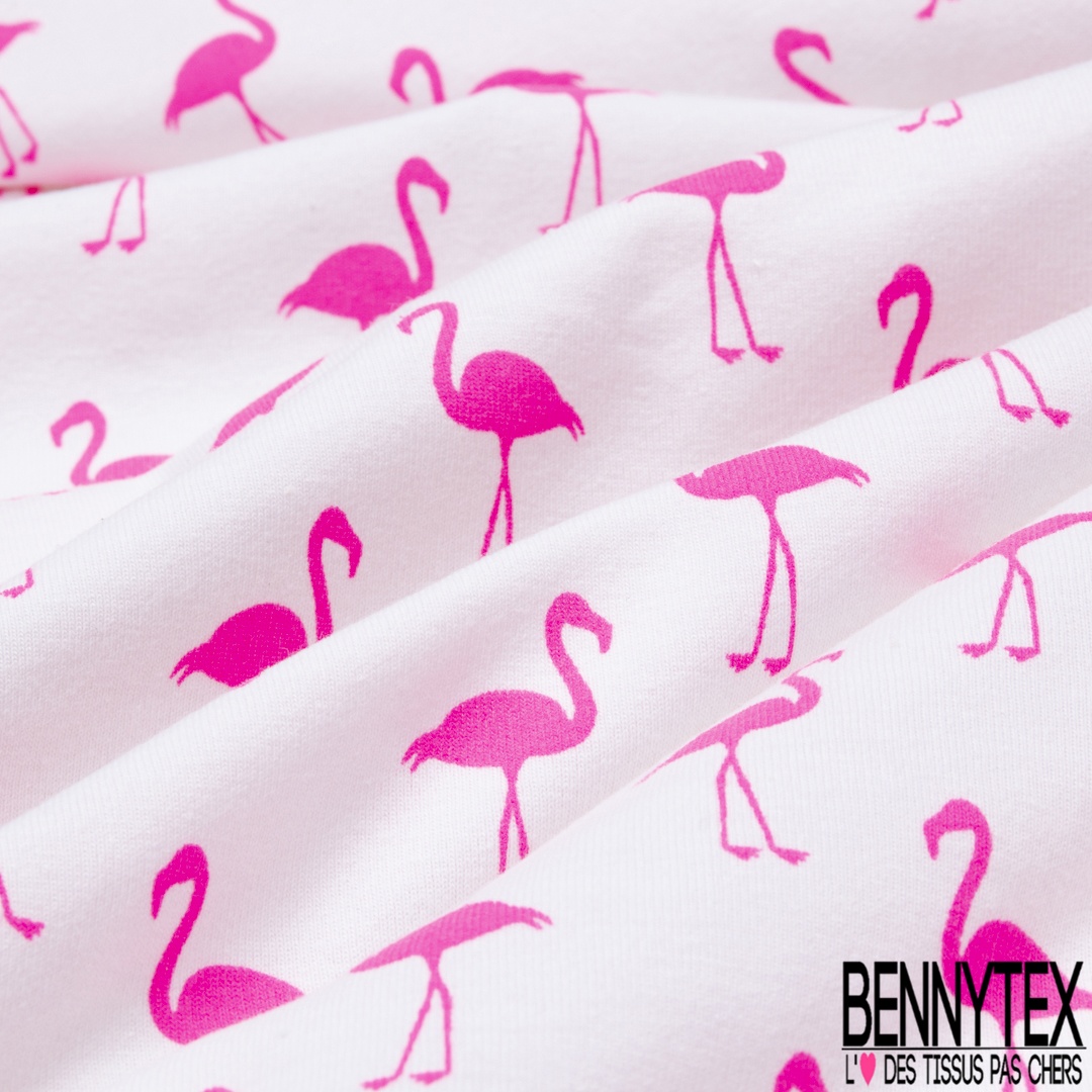 Jersey Coton Elasthanne Imprime Flamand Rose Fluo Fond Blanc Bennytex Vente De Tissus Pas Cher Au Metre